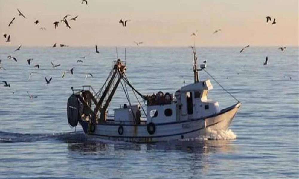 Αύξηση στις τιμές των ψαριών θα προκαλέσουν οι ανατιμήσεις στα καύσιμα (Βίντεο)